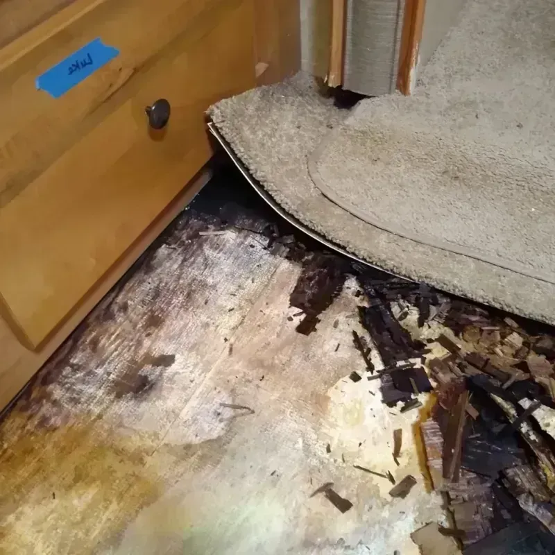 Wood Floor Water Damage in Fernley, NV